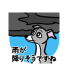 イタグレ達と自然のスタンプ（個別スタンプ：10）
