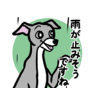 イタグレ達と自然のスタンプ（個別スタンプ：11）