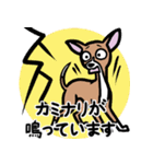 イタグレ達と自然のスタンプ（個別スタンプ：12）
