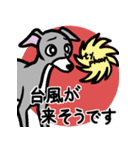 イタグレ達と自然のスタンプ（個別スタンプ：14）