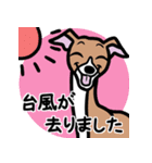 イタグレ達と自然のスタンプ（個別スタンプ：15）