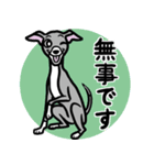 イタグレ達と自然のスタンプ（個別スタンプ：17）