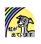 イタグレ達と自然のスタンプ（個別スタンプ：19）