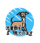 イタグレ達と自然のスタンプ（個別スタンプ：24）