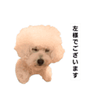 イッヌのスタンプ(ララVer.)（個別スタンプ：30）