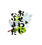 yocco baba(花と植物②)（個別スタンプ：6）