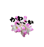yocco baba(花と植物②)（個別スタンプ：12）