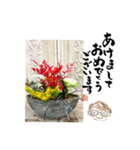 yocco baba(花と植物②)（個別スタンプ：20）