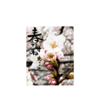 yocco baba(花と植物②)（個別スタンプ：22）
