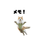 ライター猫【出版・WEB・書籍】（個別スタンプ：4）