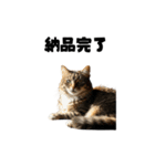 ライター猫【出版・WEB・書籍】（個別スタンプ：7）