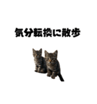ライター猫【出版・WEB・書籍】（個別スタンプ：16）