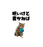ライター猫【出版・WEB・書籍】（個別スタンプ：26）