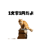 ライター猫【出版・WEB・書籍】（個別スタンプ：36）