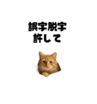 ライター猫【出版・WEB・書籍】（個別スタンプ：38）