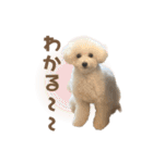 めいもこスタンプ② 2024年度版（個別スタンプ：31）