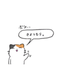 コミュ障な三毛猫（個別スタンプ：2）