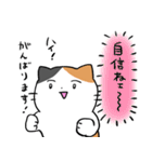 コミュ障な三毛猫（個別スタンプ：13）