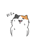 コミュ障な三毛猫（個別スタンプ：16）