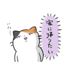 コミュ障な三毛猫（個別スタンプ：25）