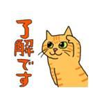 丁寧な猫 ちゃぴお（個別スタンプ：1）
