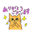 丁寧な猫 ちゃぴお（個別スタンプ：5）