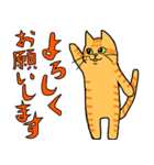 丁寧な猫 ちゃぴお（個別スタンプ：8）