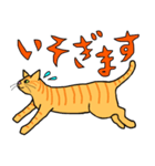 丁寧な猫 ちゃぴお（個別スタンプ：12）