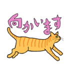 丁寧な猫 ちゃぴお（個別スタンプ：13）