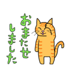 丁寧な猫 ちゃぴお（個別スタンプ：14）