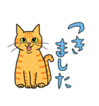 丁寧な猫 ちゃぴお（個別スタンプ：16）
