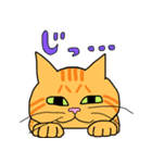 丁寧な猫 ちゃぴお（個別スタンプ：22）