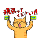 丁寧な猫 ちゃぴお（個別スタンプ：25）