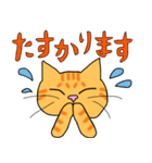 丁寧な猫 ちゃぴお（個別スタンプ：31）