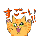 丁寧な猫 ちゃぴお（個別スタンプ：34）