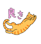 丁寧な猫 ちゃぴお（個別スタンプ：35）