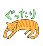 丁寧な猫 ちゃぴお（個別スタンプ：36）