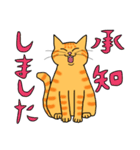 丁寧な猫 ちゃぴお（個別スタンプ：37）