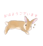 うさぎ〜むく〜（個別スタンプ：1）