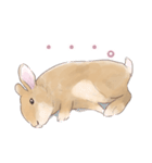 うさぎ〜むく〜（個別スタンプ：5）