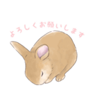 うさぎ〜むく〜（個別スタンプ：6）