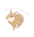 うさぎ〜むく〜（個別スタンプ：7）