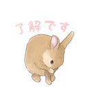 うさぎ〜むく〜（個別スタンプ：9）