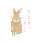 うさぎ〜むく〜（個別スタンプ：10）