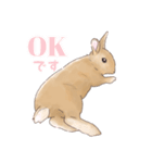 うさぎ〜むく〜（個別スタンプ：11）