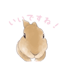 うさぎ〜むく〜（個別スタンプ：13）