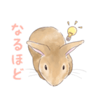 うさぎ〜むく〜（個別スタンプ：14）