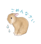 うさぎ〜むく〜（個別スタンプ：15）
