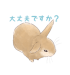 うさぎ〜むく〜（個別スタンプ：17）