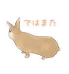 うさぎ〜むく〜（個別スタンプ：19）
